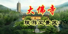 日本XⅩXX野外打炮啪啪中国浙江-新昌大佛寺旅游风景区